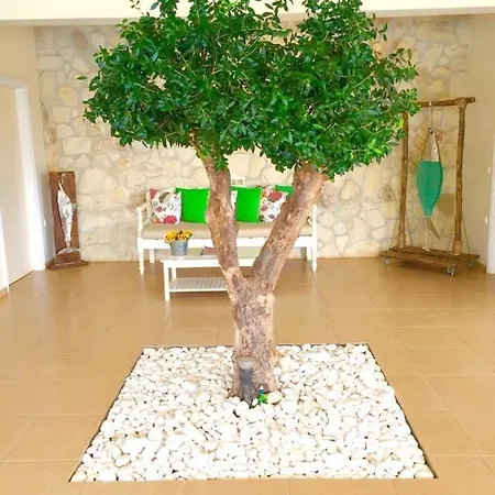 Ammos Boutique Apartments & Suites 3* Malia (Crete)